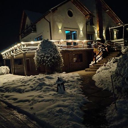Vis Pension Viile Satu Mare Exterior photo