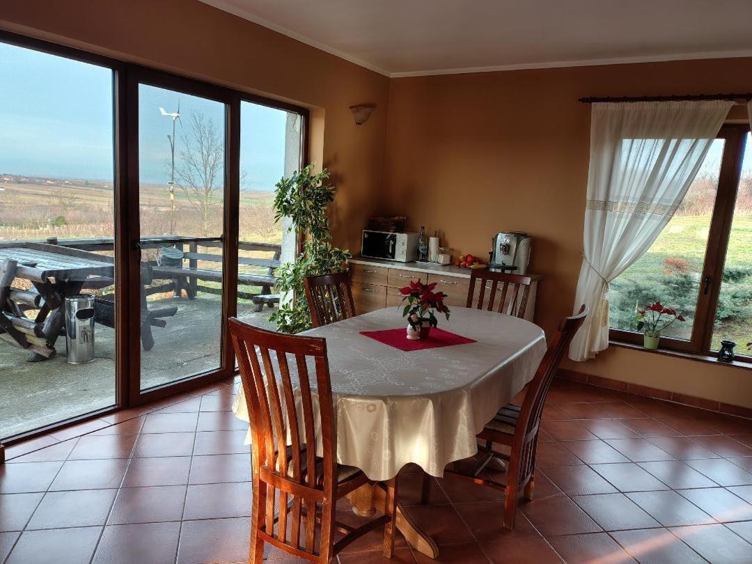 Vis Pension Viile Satu Mare Exterior photo