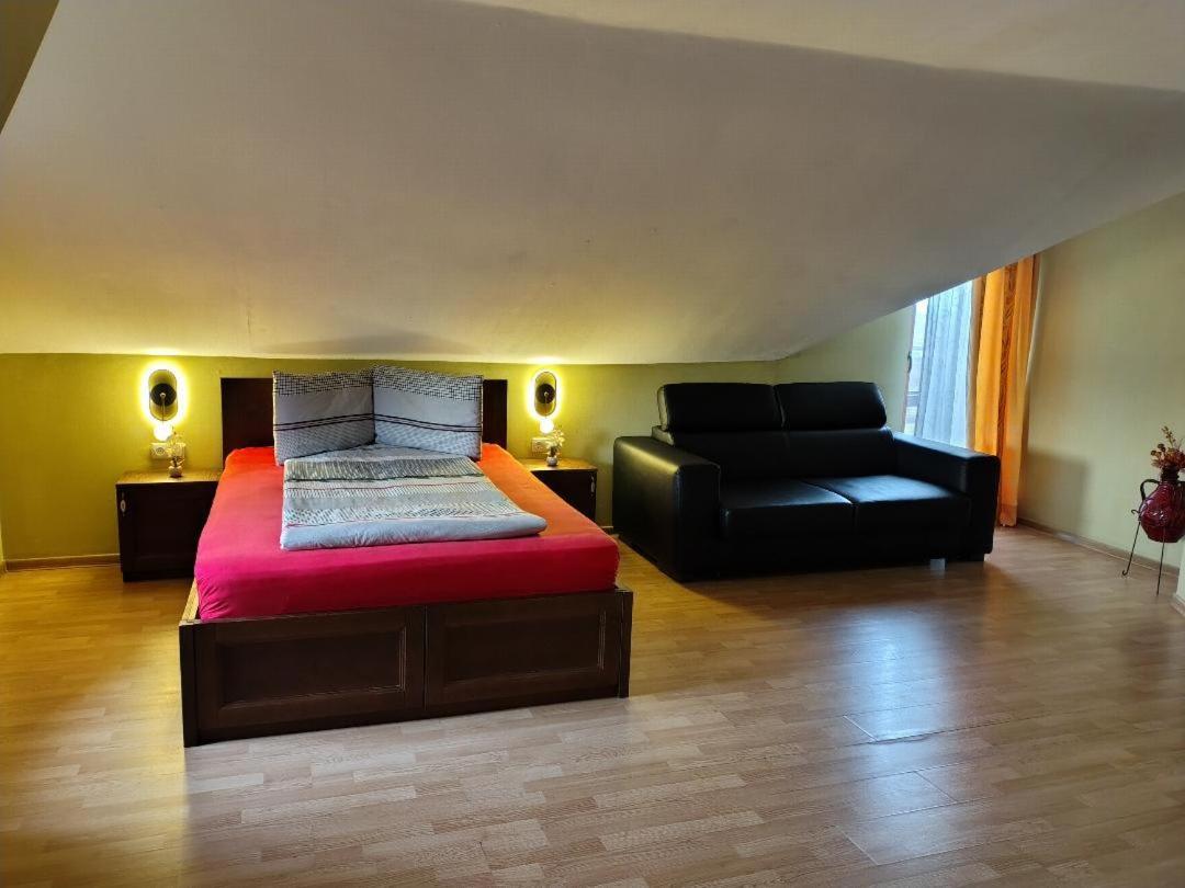 Vis Pension Viile Satu Mare Exterior photo