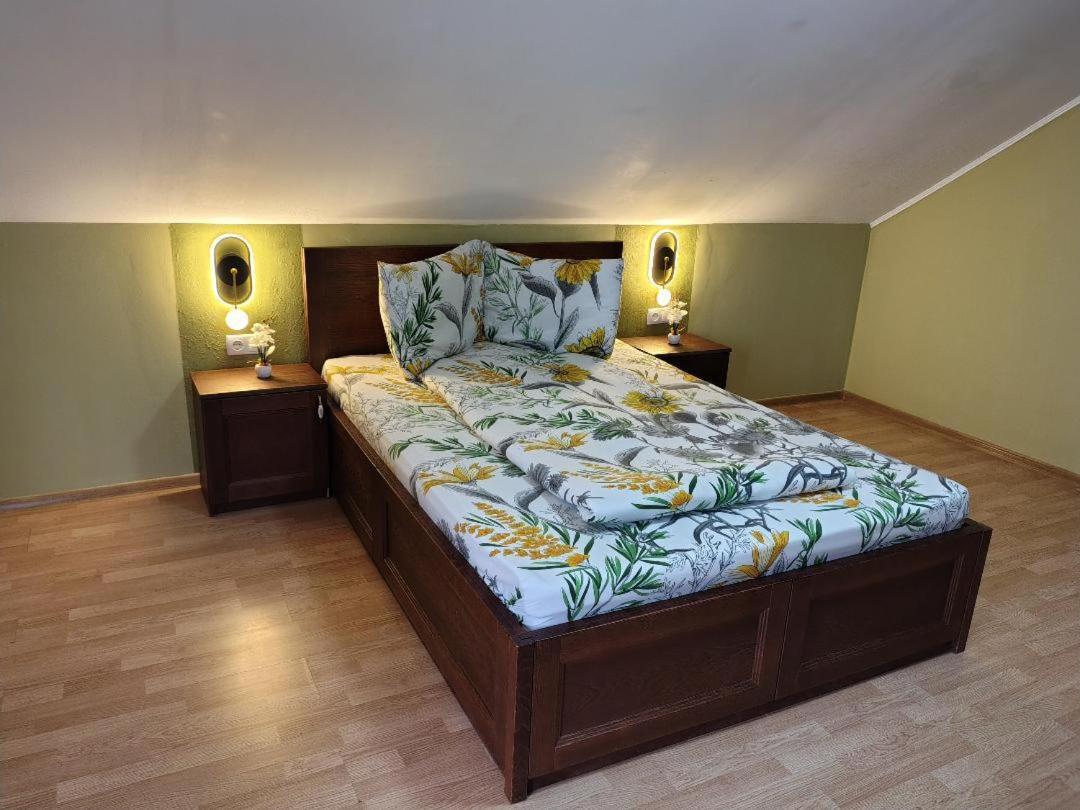 Vis Pension Viile Satu Mare Exterior photo
