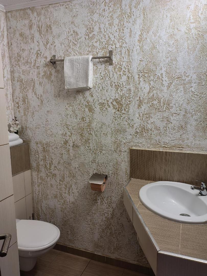 Vis Pension Viile Satu Mare Exterior photo