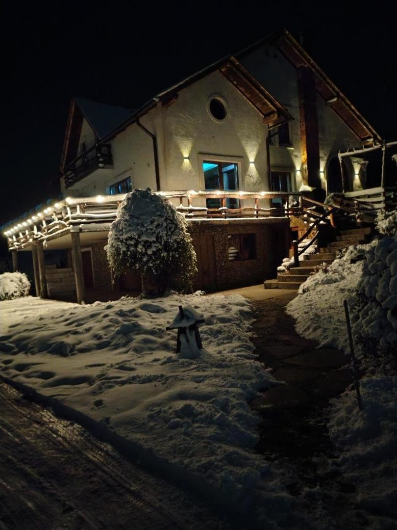 Vis Pension Viile Satu Mare Exterior photo