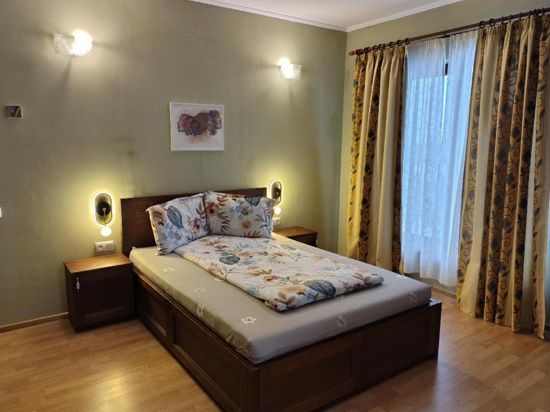 Vis Pension Viile Satu Mare Exterior photo