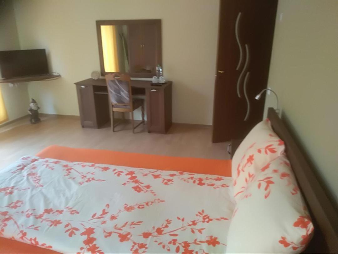 Vis Pension Viile Satu Mare Exterior photo