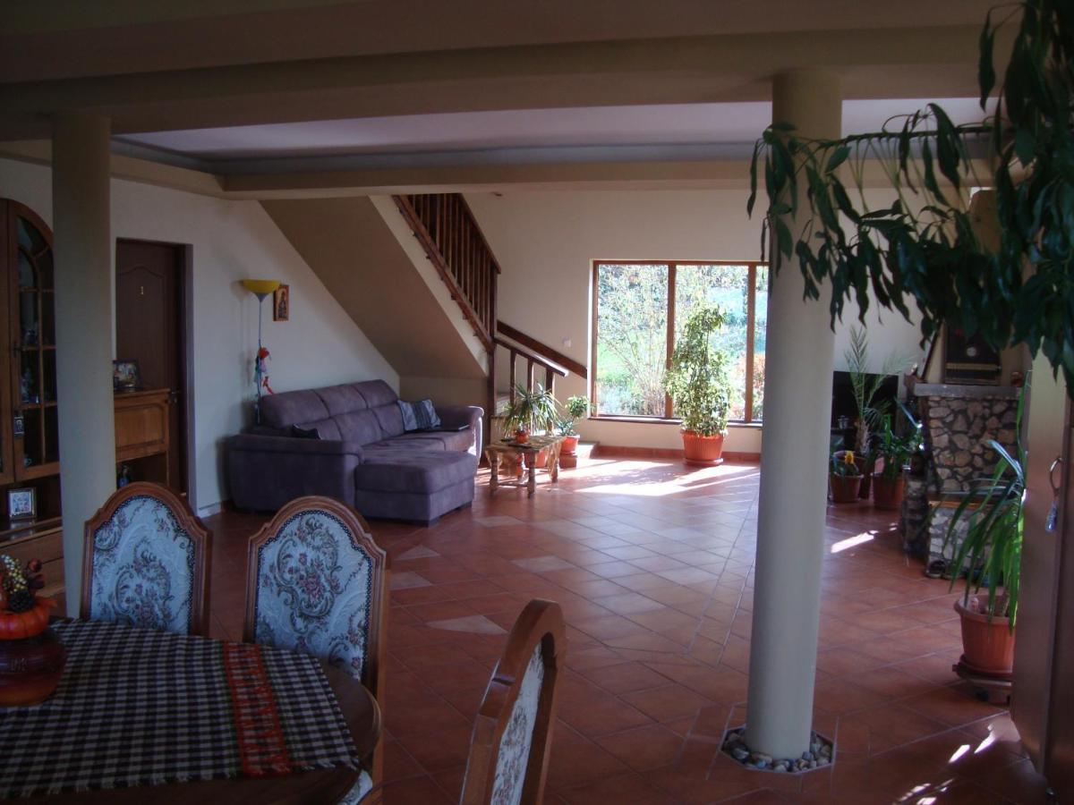 Vis Pension Viile Satu Mare Exterior photo
