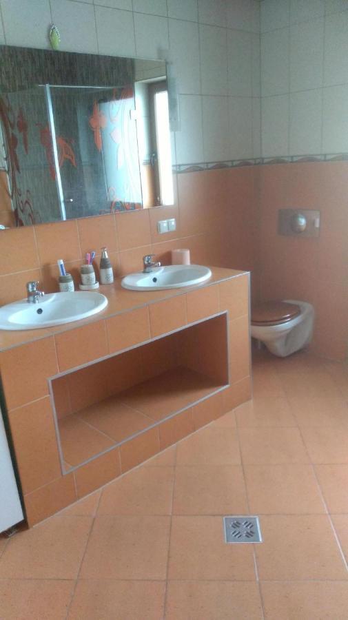 Vis Pension Viile Satu Mare Exterior photo