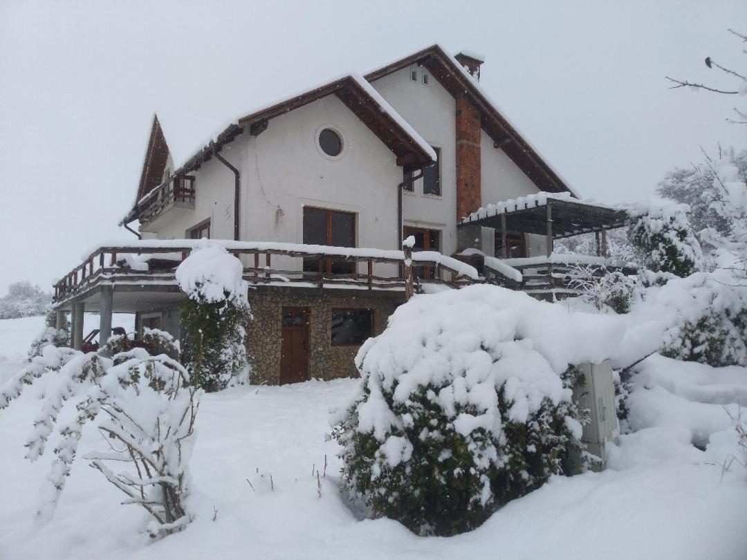 Vis Pension Viile Satu Mare Exterior photo