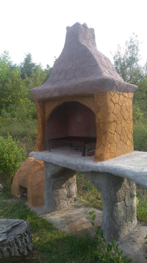 Vis Pension Viile Satu Mare Exterior photo