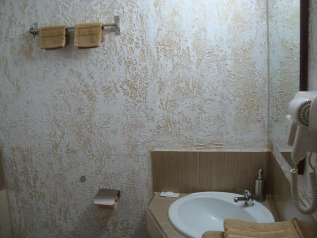 Vis Pension Viile Satu Mare Exterior photo